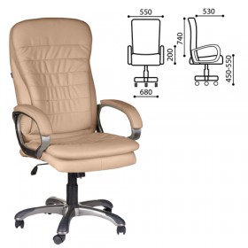 Кресло офисное BRABIX Omega EX-589 в Мирном - mirnyj.katalogmebeli.com | фото