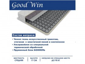 Матрас GoodWin 1600*2000 в Мирном - mirnyj.katalogmebeli.com | фото